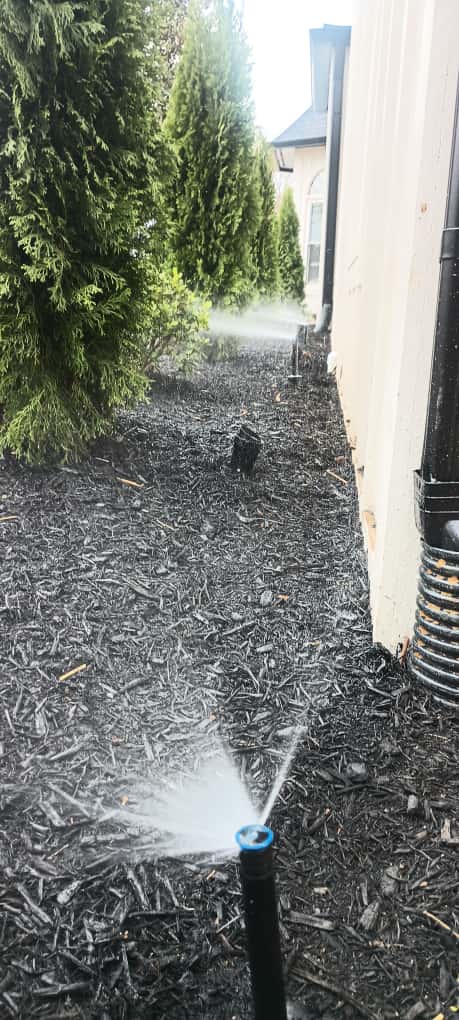 Irrigation system in action